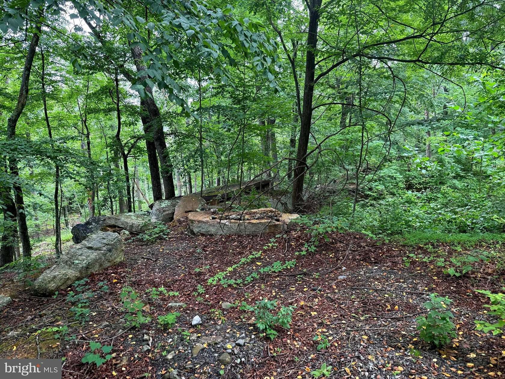 2 Acres of Land for Sale in Augusta, West Virginia