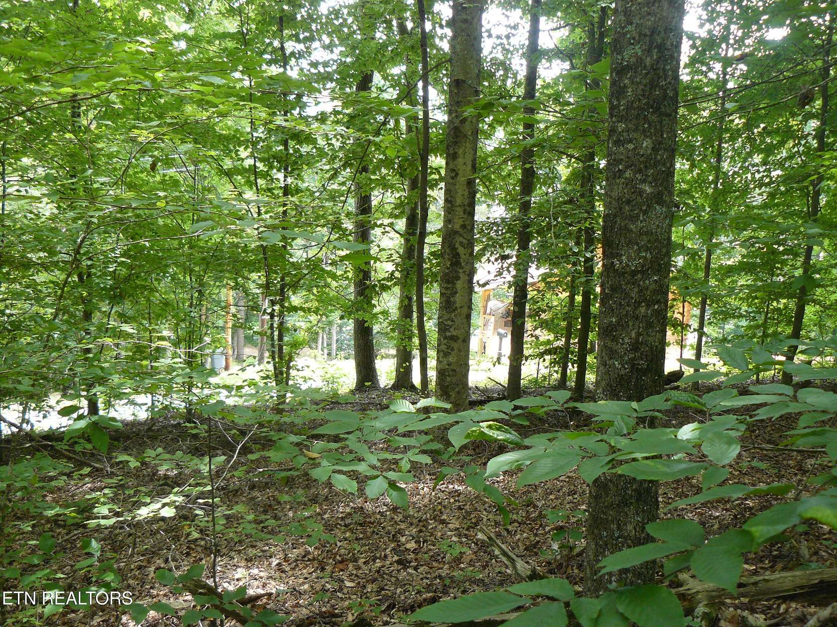 0.34 Acres of Land for Sale in Sharps Chapel, Tennessee