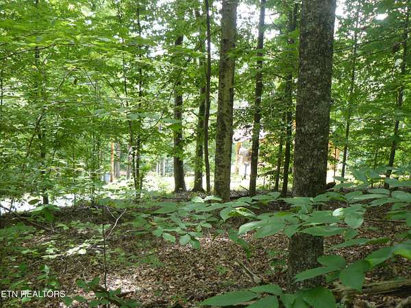0.34 Acres of Land for Sale in Sharps Chapel, Tennessee