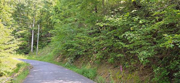 0.55 Acres of Residential Land for Sale in Sevierville, Tennessee