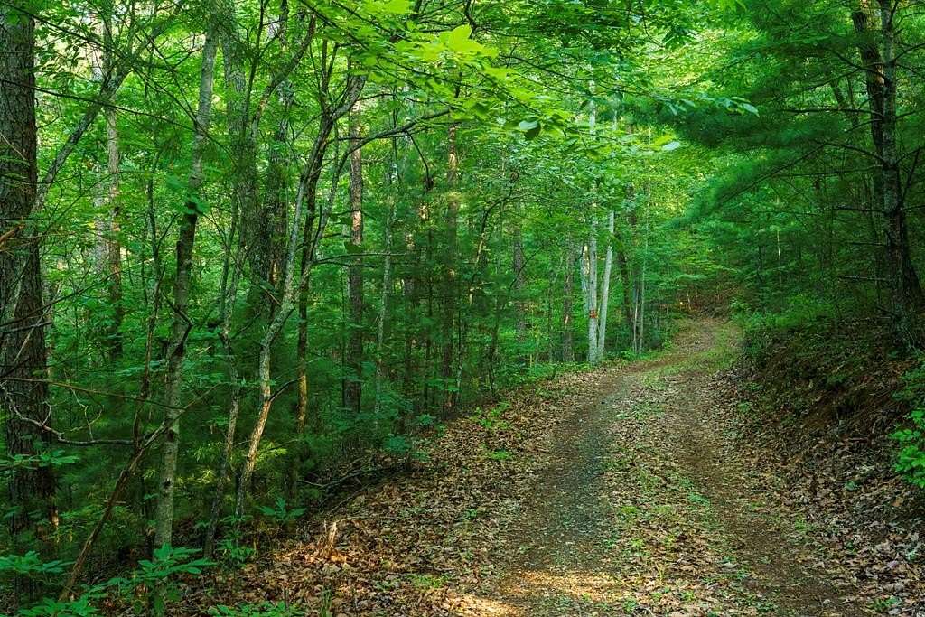5.86 Acres of Residential Land for Sale in Murphy, North Carolina