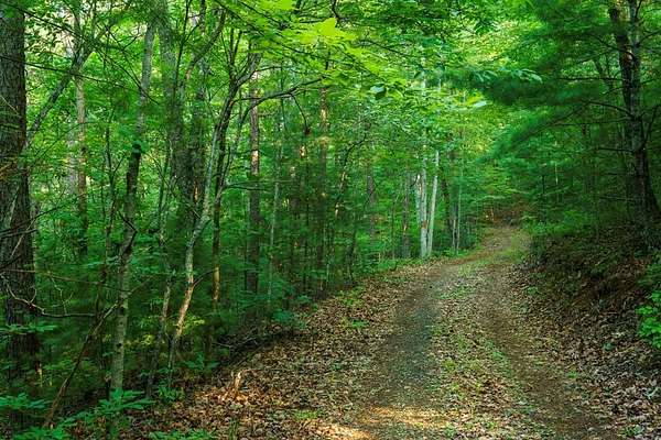 5.86 Acres of Residential Land for Sale in Murphy, North Carolina