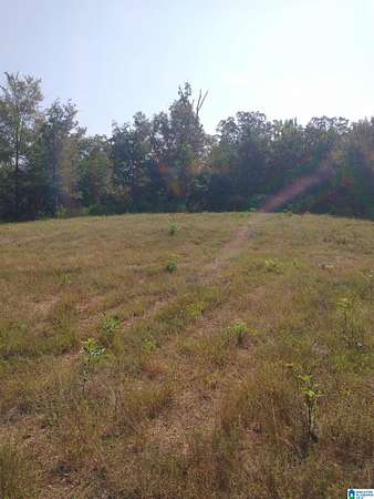 81 Acres of Recreational & Residential Land for Sale in Riverside, Alabama