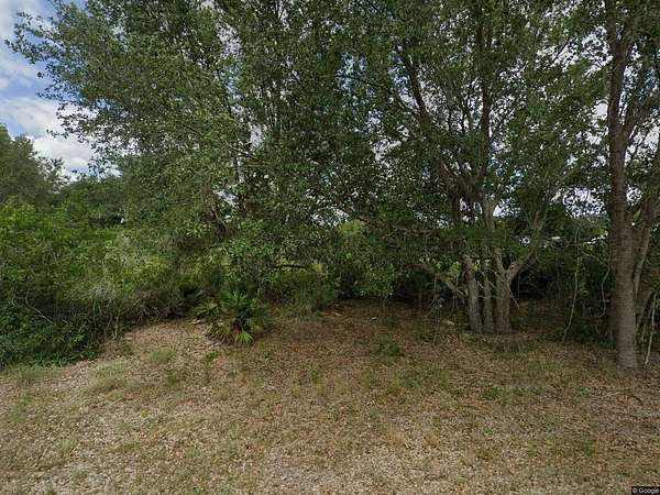 Residential Land for Sale in Alva, Florida