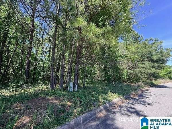 0.3 Acres of Residential Land for Sale in Birmingham, Alabama