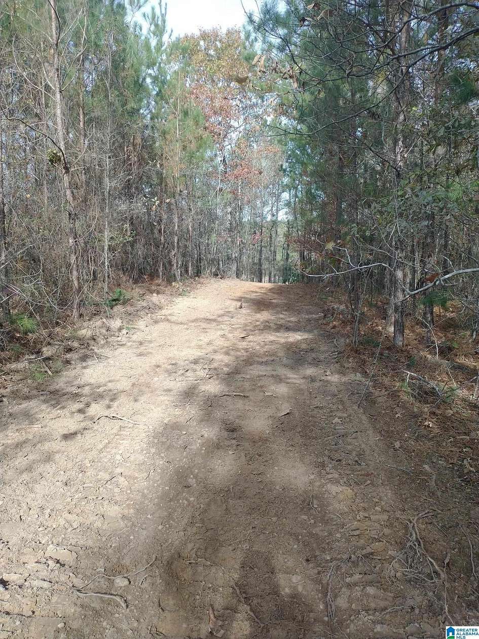 9.54 Acres of Residential Land for Sale in Alpine, Alabama