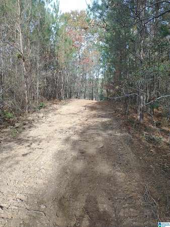 9.54 Acres of Residential Land for Sale in Alpine, Alabama