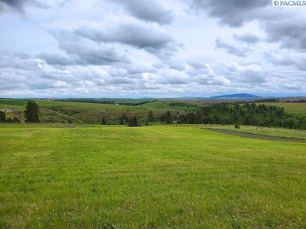 6 Acres of Residential Land for Sale in Colfax, Washington