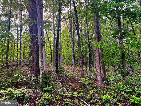 15.2 Acres of Recreational Land for Sale in Moorefield, West Virginia
