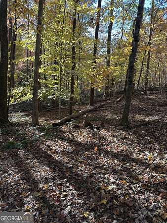 3.56 Acres of Land for Sale in Baldwin, Georgia