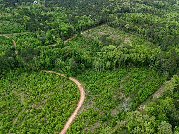 145 Acres of Recreational & Residential Land for Sale in Jefferson, Texas