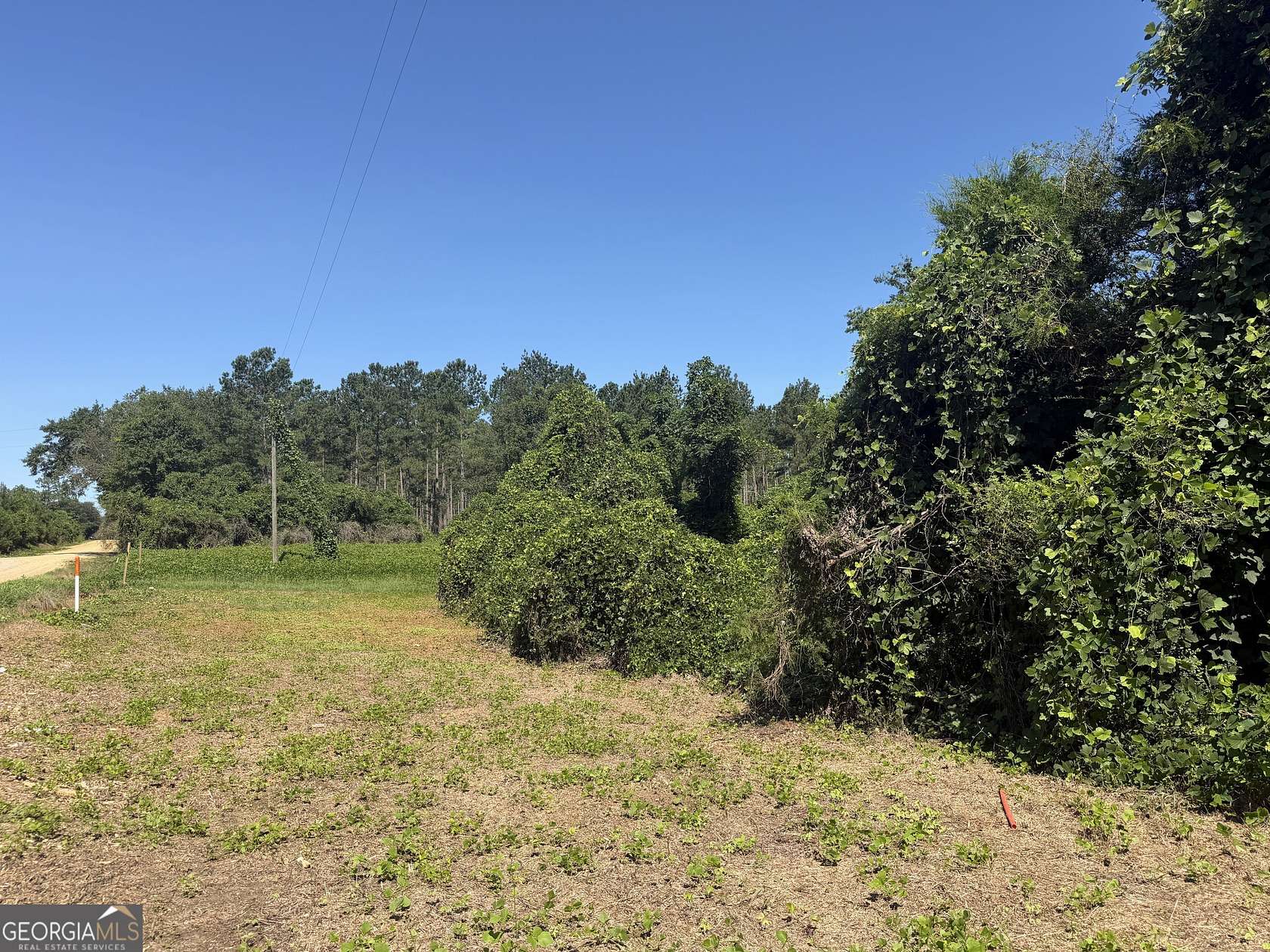 6 Acres of Residential Land for Sale in Ashford, Alabama