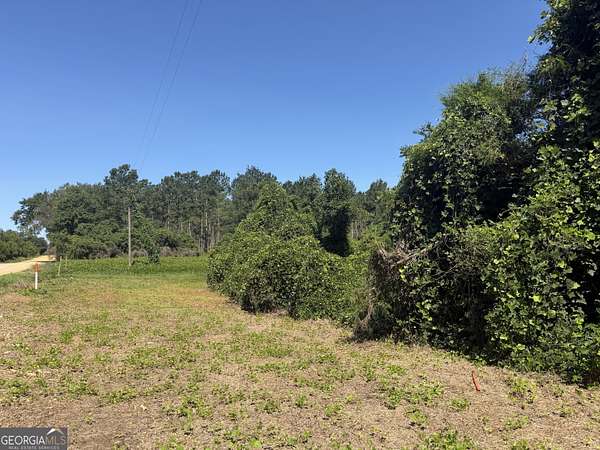6 Acres of Residential Land for Sale in Ashford, Alabama