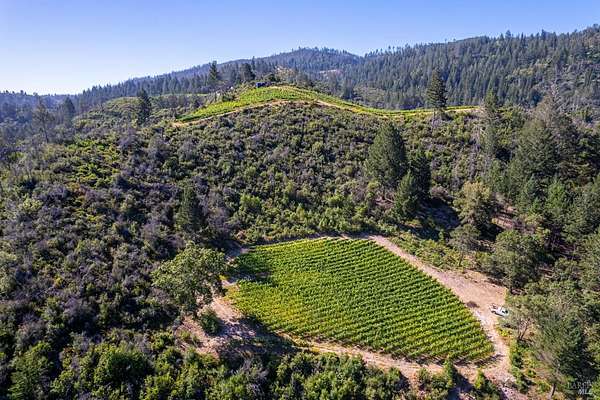 9 Acres of Land for Sale in Calistoga, California