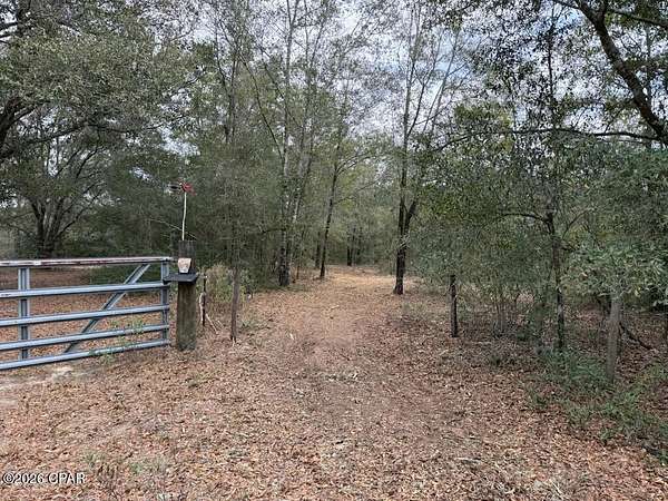 5 Acres of Land for Sale in Alford, Florida