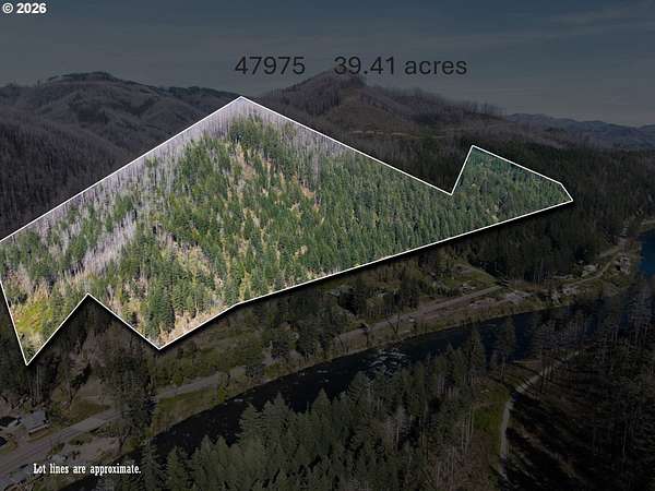 41.7 Acres of Recreational & Residential Land for Sale in Vida, Oregon