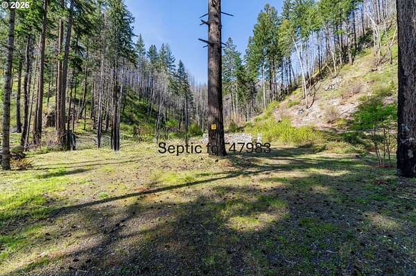 2.32 Acres of Residential Land for Sale in Vida, Oregon