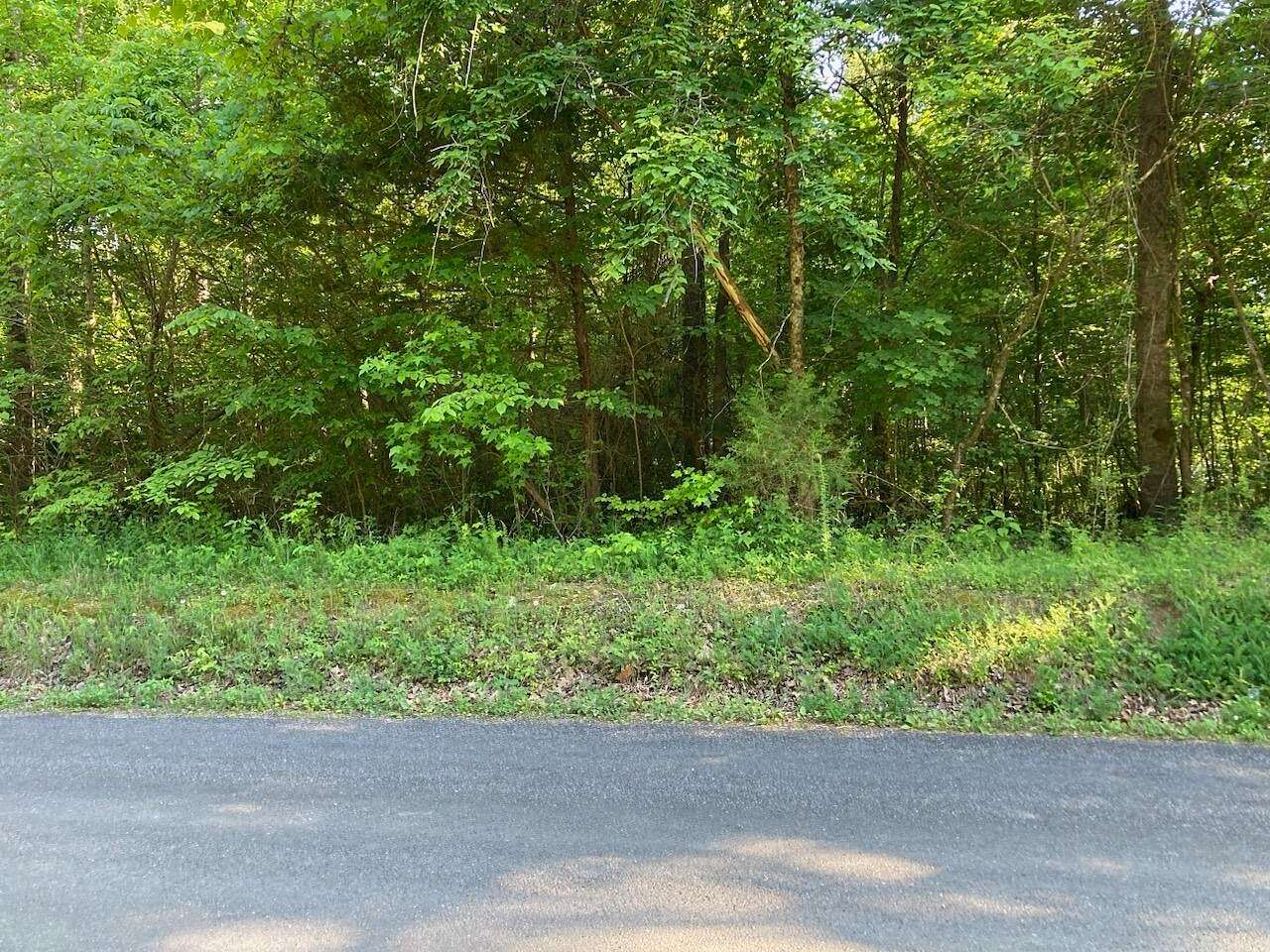 0.74 Acres of Residential Land for Sale in Birchwood, Tennessee