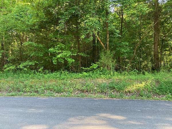 0.74 Acres of Residential Land for Sale in Birchwood, Tennessee