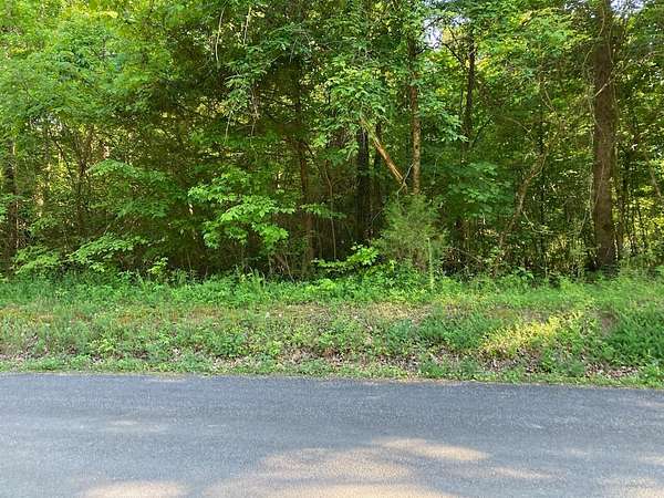 0.74 Acres of Residential Land for Sale in Birchwood, Tennessee