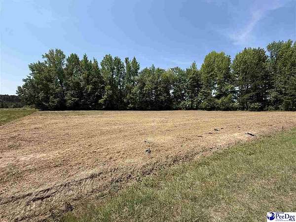 3 Acres of Residential Land for Sale in Pageland, South Carolina