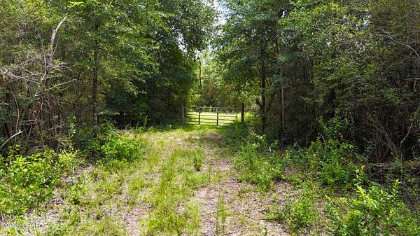 5 Acres of Residential Land for Sale in Fountain, Florida