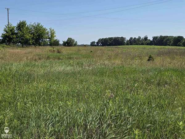 1.82 Acres of Residential Land for Sale in Laingsburg, Michigan
