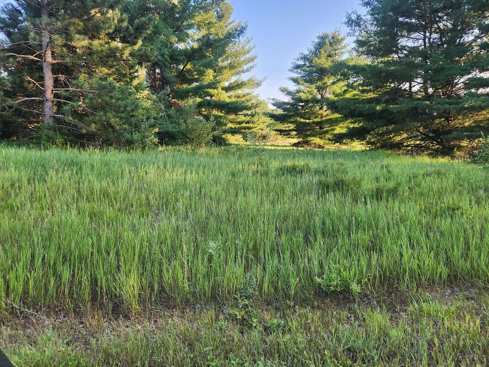 0.27 Acres of Residential Land for Sale in Canadian Lakes, Michigan