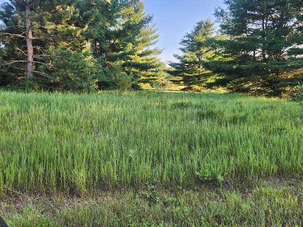 0.27 Acres of Residential Land for Sale in Canadian Lakes, Michigan