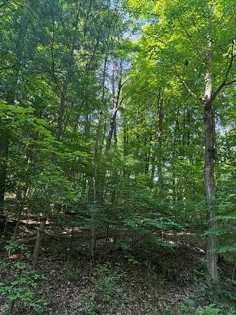 16 Acres of Land for Sale in Dundee, New York
