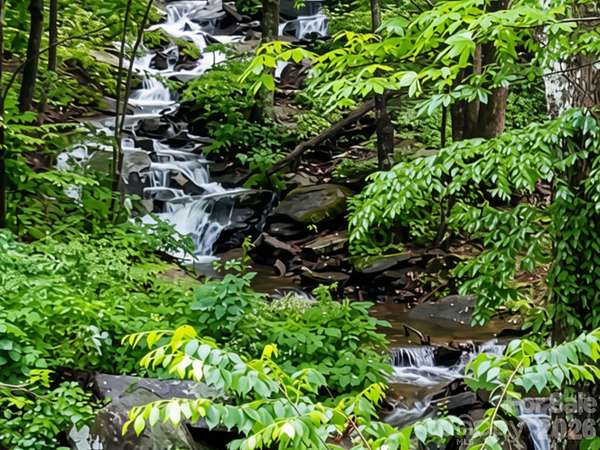 11.6 Acres of Land for Sale in Fairview, North Carolina