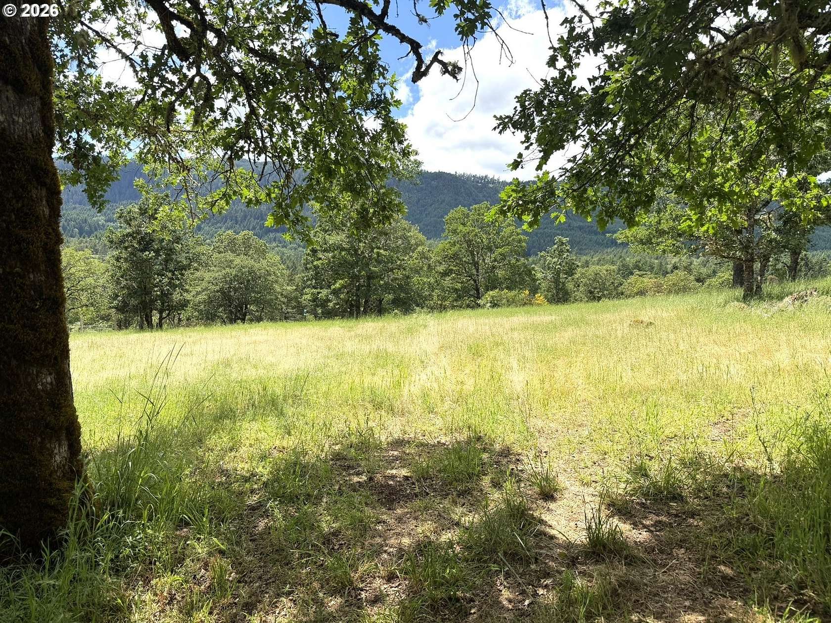 10 Acres of Residential Land for Sale in Oakland, Oregon