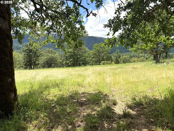 10 Acres of Residential Land for Sale in Oakland, Oregon