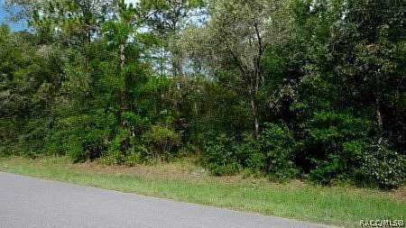 0.23 Acres of Residential Land for Sale in Citrus Springs, Florida