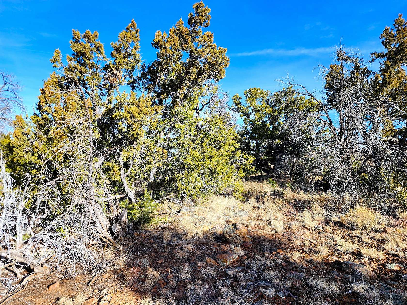 2.4 Acres of Residential Land for Sale in Ramah, New Mexico