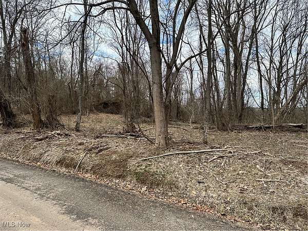 15 Acres of Agricultural Land for Sale in Fleming, Ohio