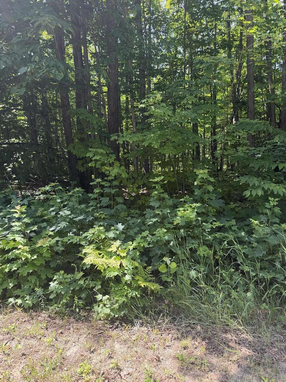 Residential Land for Sale in Mancelona Township, Michigan
