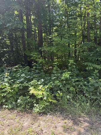Residential Land for Sale in Mancelona Township, Michigan