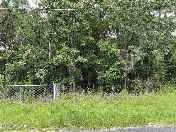 0.53 Acres of Land for Sale in Blackshear, Georgia