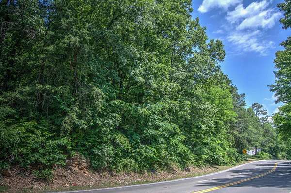 6.1 Acres of Residential Land for Sale in Trenton, Georgia