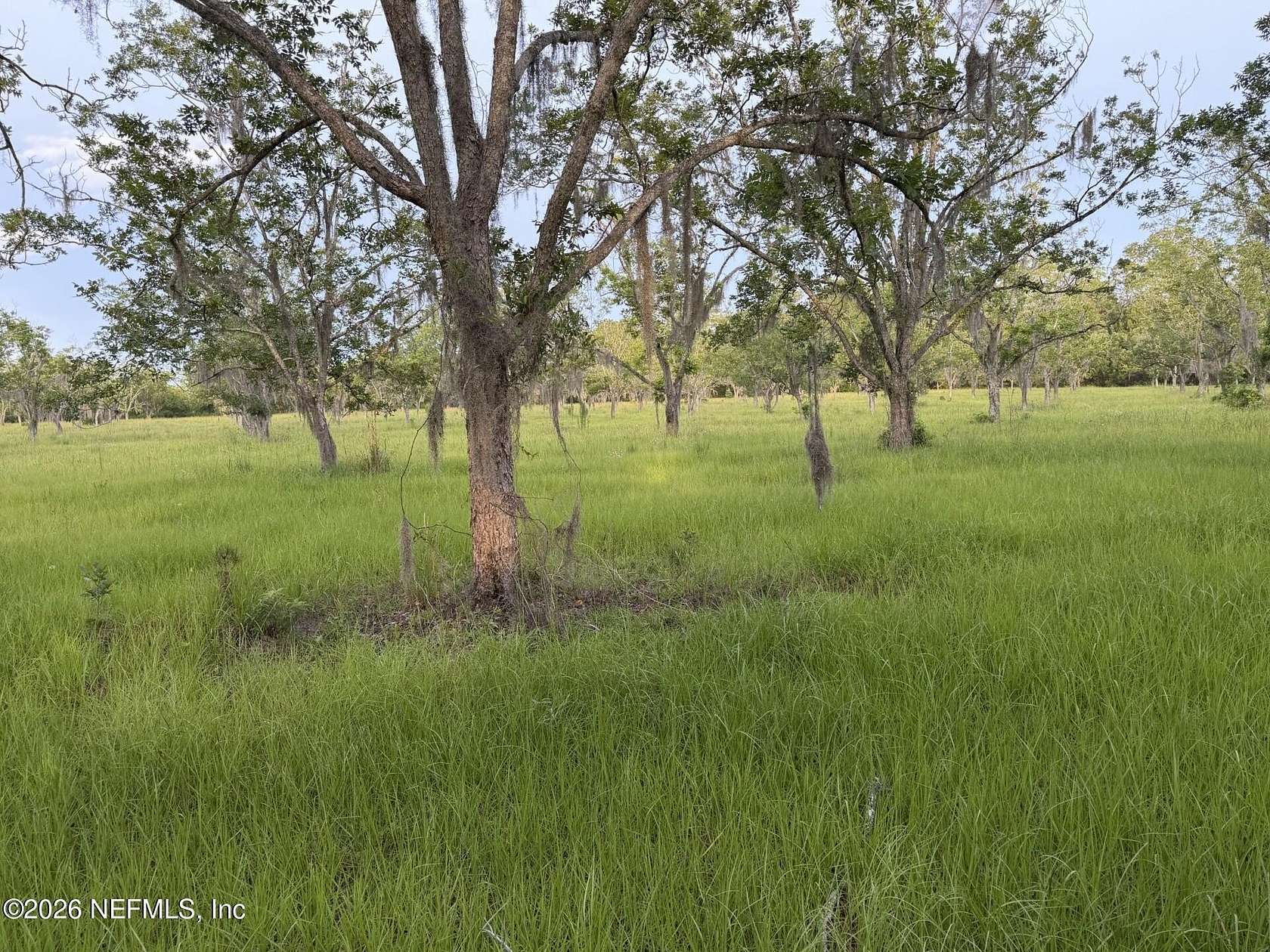 30 Acres of Land for Sale in Hawthorne, Florida