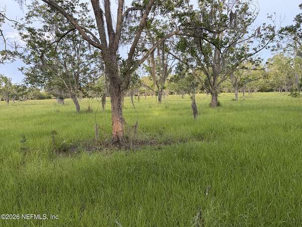 30 Acres of Land for Sale in Hawthorne, Florida