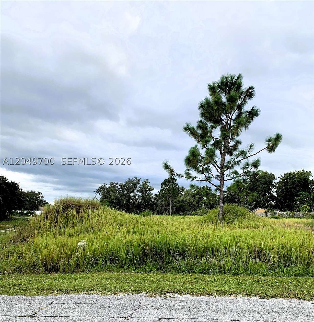 0.41 Acres of Residential Land for Sale in Poinciana, Florida