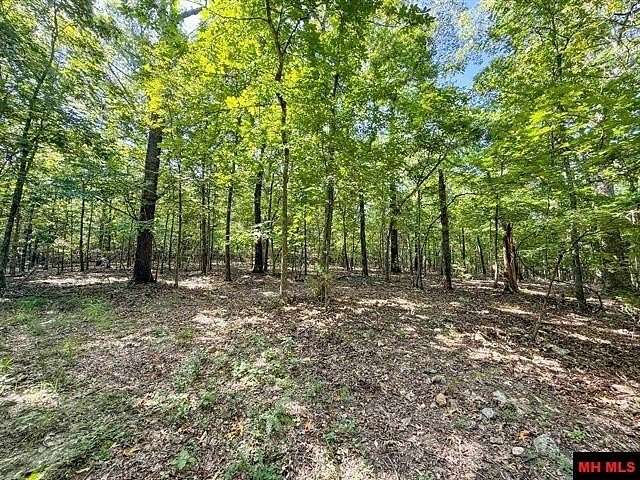 40 Acres of Recreational & Residential Land for Sale in Mountain Home, Arkansas