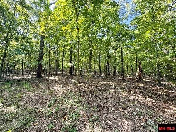 40 Acres of Recreational & Residential Land for Sale in Mountain Home, Arkansas