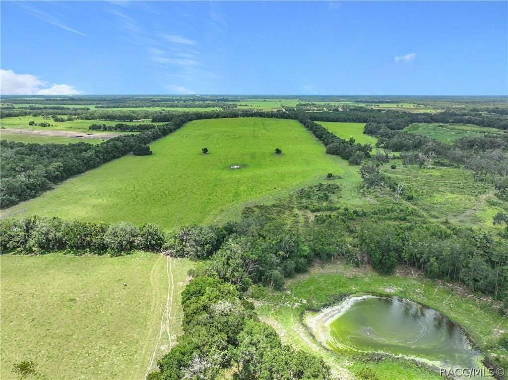 400 Acres of Land with Home for Sale in Morriston, Florida