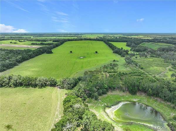 400 Acres of Land with Home for Sale in Morriston, Florida