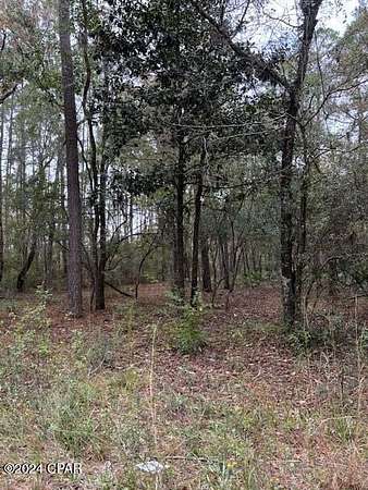 2 Acres of Residential Land for Sale in Chipley, Florida