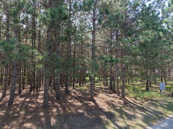 0.01 Acres of Land for Sale in Park Rapids, Minnesota