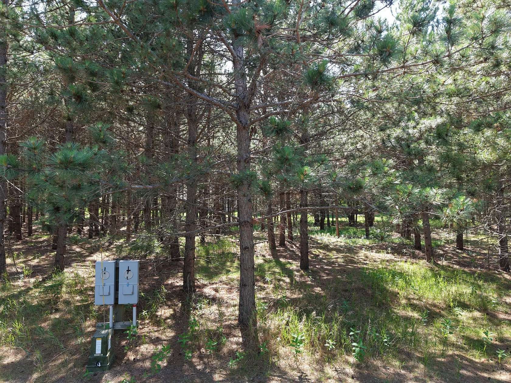 0.01 Acres of Land for Sale in Park Rapids, Minnesota